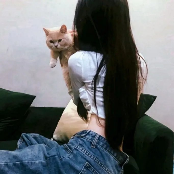 巩仙